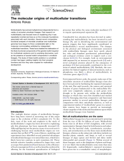 The molecular origins of multicellular transitions