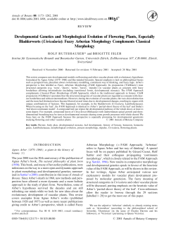 Developmental Genetics and Morphological Evolution of Flowering