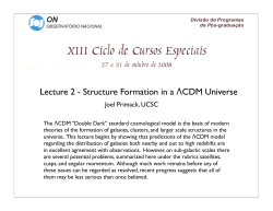 Primack Rio Lect 2 DM