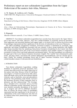 Title of paper - Universidad de Zaragoza