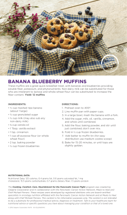 banana blueberry muffins - Pancreatic Cancer Action Network