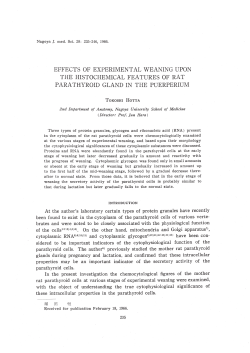 effects of experimental weaning upon the histochemical features of