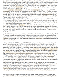 closelyrelated autotrophs heterotrophs phototrophs autotrophs
