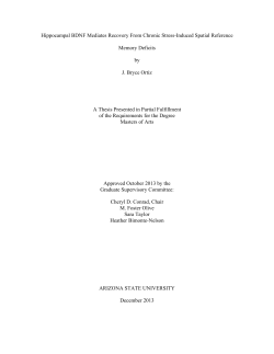 - ASU Digital Repository