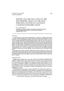 mitosis and the cell cycle in the metamorphic moult of