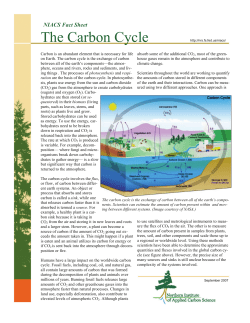 The Carbon Cycle