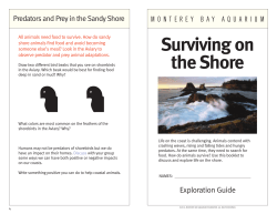 Surviving on the Shore - Monterey Bay Aquarium