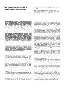 The Connectional Organization of the Cortico