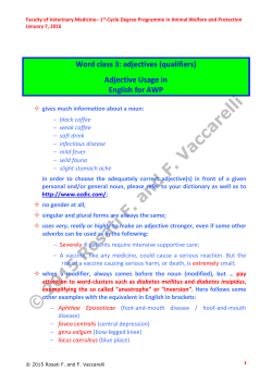 adjectives - Progetto e