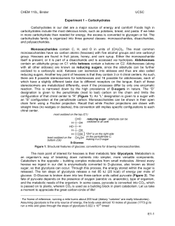 Exp 1 – Carbohydrates
