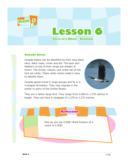 Lesson 6 - BGRS - Engaging Students