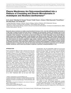 Plasma Membranes Are Subcompartmentalized into