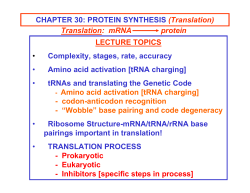 CHAPTER 30: PROTEIN SYNTHESIS (Translation) LECTURE