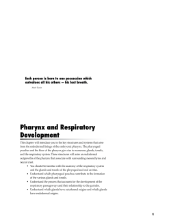 09 Respiratory/Pharynx - Biology Courses Server