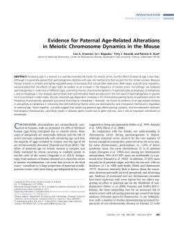 Evidence for Paternal Age-Related Alterations in Meiotic