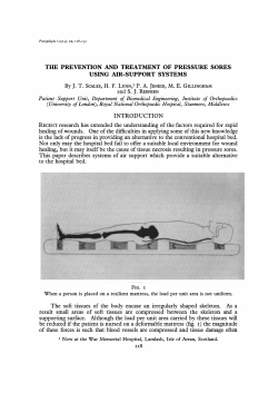 The Prevention and Treatment of Pressure Sores Using Air
