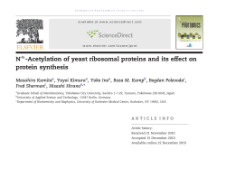 N&alpha;-Acetylation of yeast ribosomal proteins and its effect on protein