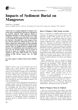 Impacts of Sediment Burial on Mangroves