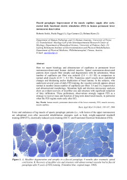 Flaccid paraplegia: Improvement of the muscle capillary supply after