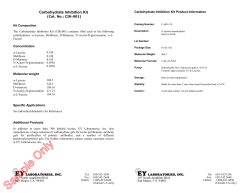 &yuml;&thorn;M i c r o s o f t   W o r d   - C I K