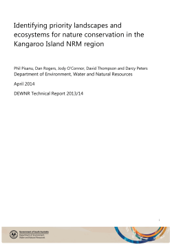 Technical report title (Sentence case)