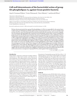Cell-wall determinants of the bactericidal action of group IIA