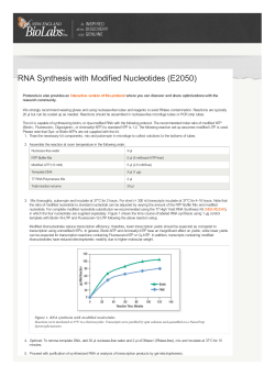 RNA Synthesis with Modified Nucleotides (E2050) | NEB