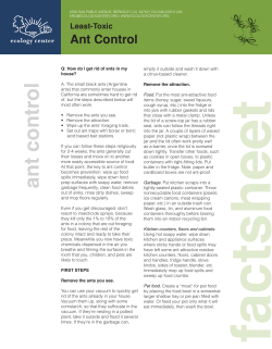 ant control - Ecology Center