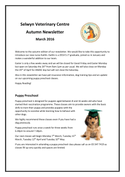 Autumn 2016 PDF - Selwyn Veterinary Centre