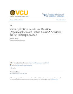 Status Epilepticus Results in a Duration