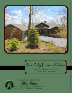 Team Vincent - Vincent Properties