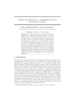 Phase transition of a dimorphic fungus penicillium marnefei