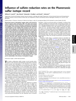 Influence of sulfate reduction rates on the Phanerozoic sulfur isotope