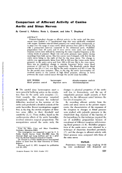 Comparison of Afferent Activity of Canine Aortic and Sinus Nerves