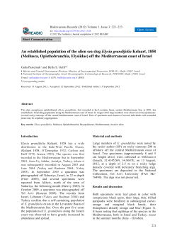 An established population of the alien sea slug Elysia grandifolia