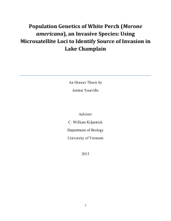 Population Genetics of White Perch (Morone americana), an