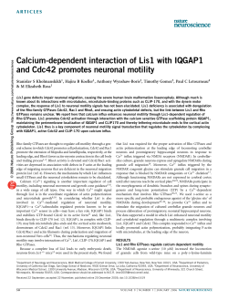 Calcium-dependent interaction of Lis1 with IQGAP1 and Cdc42