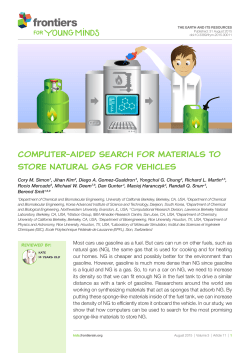 Computer-aided search for materials to store natural gas