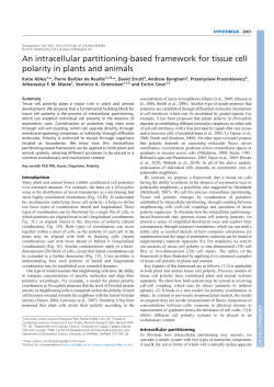 An intracellular partitioning-based framework for tissue cell polarity