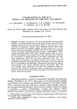 starvation in the rat: effect on peptides of the gut and brain