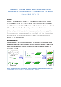 Elaboration on &ldquo;Tailor-made functional surfaces based on cellulose