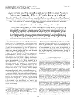 Erythromycin- and Chloramphenicol