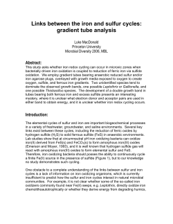 MacDonald, L. Links between the iron and sulfur cycles: gradient