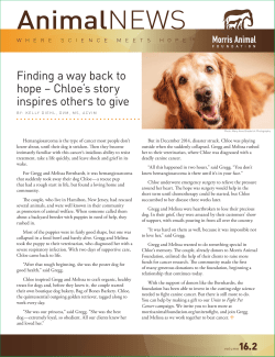 Finding a way back to hope &ndash; Chloe`s story inspires others to give