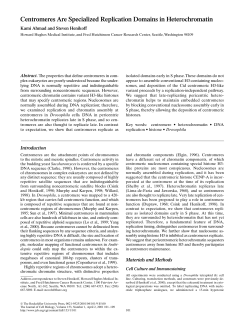Centromeres Are Specialized Replication Domains