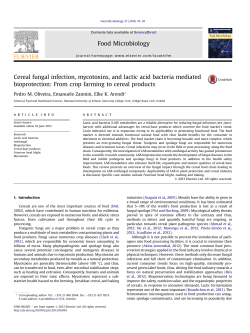 Cereal fungal infection, mycotoxins, and lactic acid