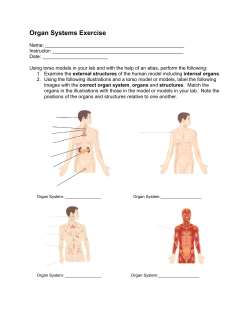 Organ System Exercise 2017