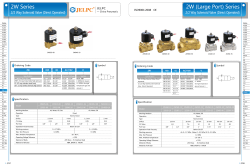 2W (Large Port) Series