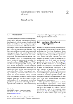 Embryology of the Parathyroid Glands