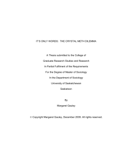 IT`S ONLY WORDS: THE CRYSTAL METH DILEMMA A Thesis